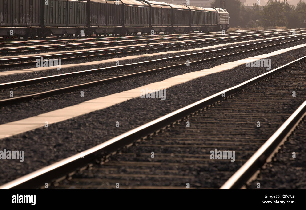 Railway station with freight train and rails in perspective Stock Photo