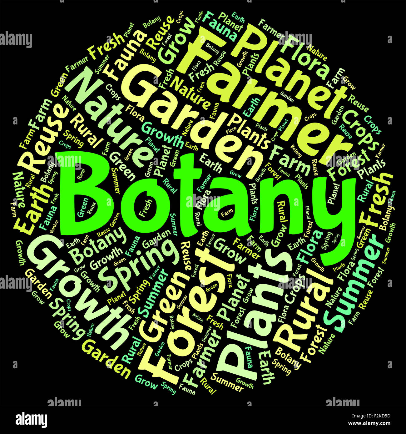 Botany Word Meaning Plant Life And Plants Stock Photo Alamy