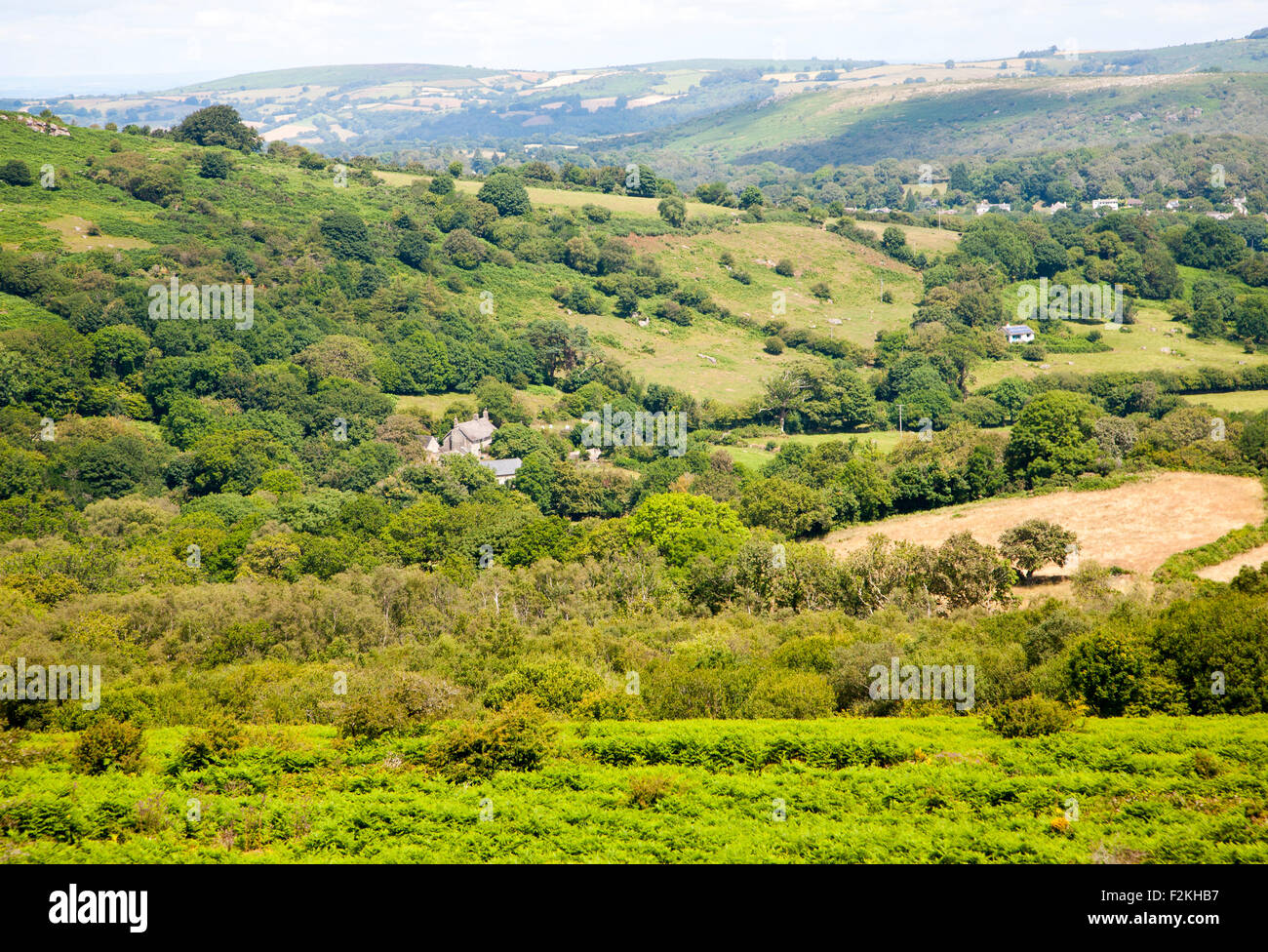 Wooded valley and farms, Greator,  Dartmoor national park, Devon, England, UK Stock Photo