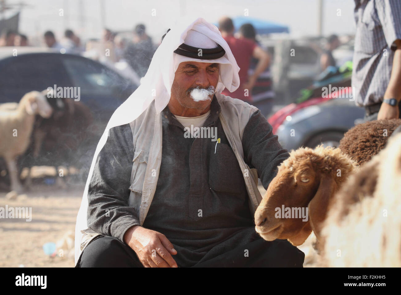 Nablus, West Bank, Palestinian Territory. 21st Sep, 2015. Palestinians gather at the main livestock market days before the major Muslim festival of Eid al-Adha holiday in the West Bank city of Nablus, on Sept. 21, 2015. Eid al-Adha, or Feast of Sacrifice, commemorates what Muslims believe was Prophet Abraham's willingness to sacrifice his son. It is a festive holiday where it is traditional for men, women and children to dress in new clothing and spend time with their families outdoo Credit:  Nedal Eshtayah/APA Images/ZUMA Wire/Alamy Live News Stock Photo