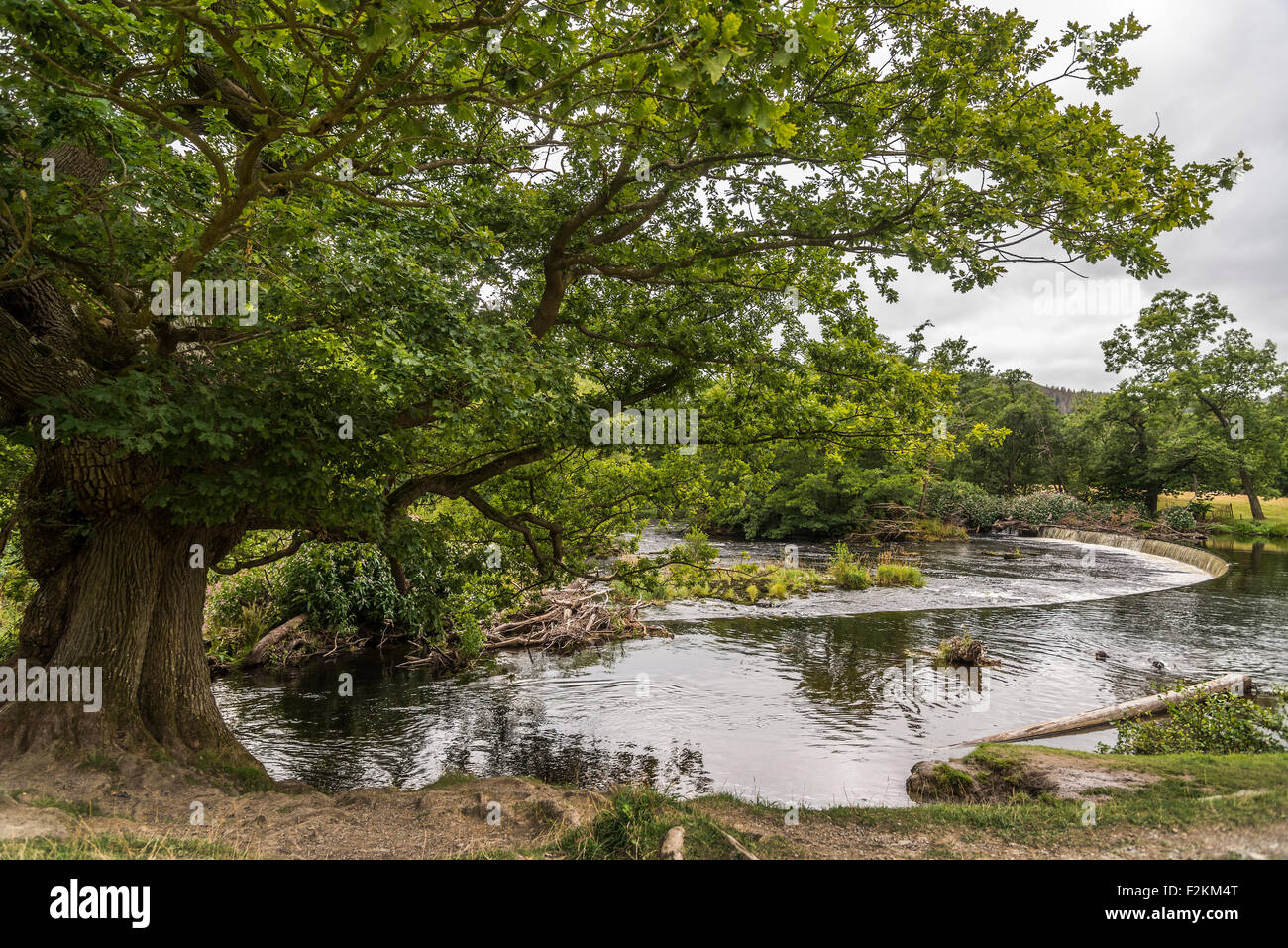 The Horseshoe falls on the River Dee at Llangollen. Denbighshire North