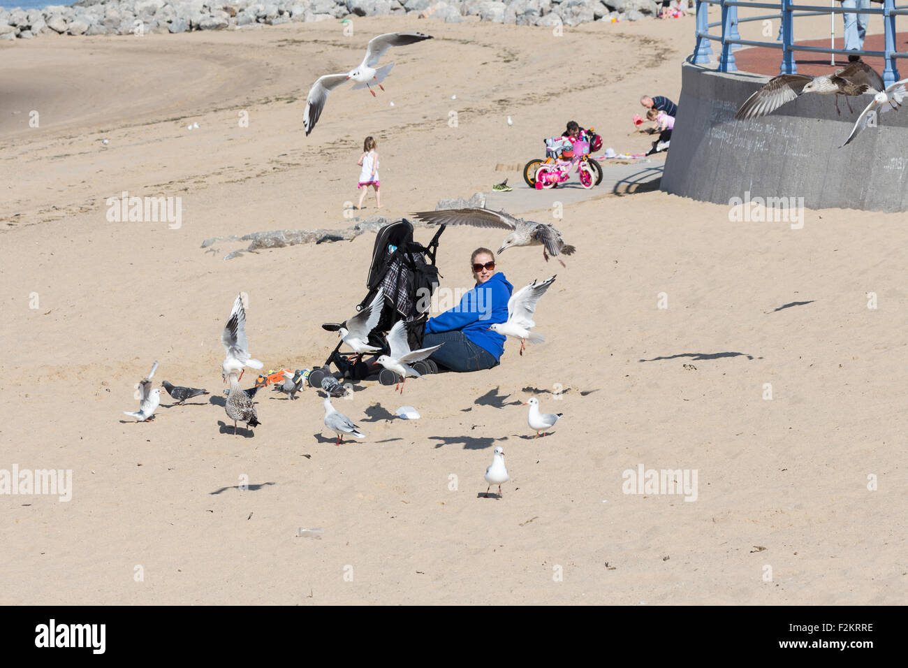 A sunny September day in Morecambe, a lady being attacked by sea gulls Stock Photo