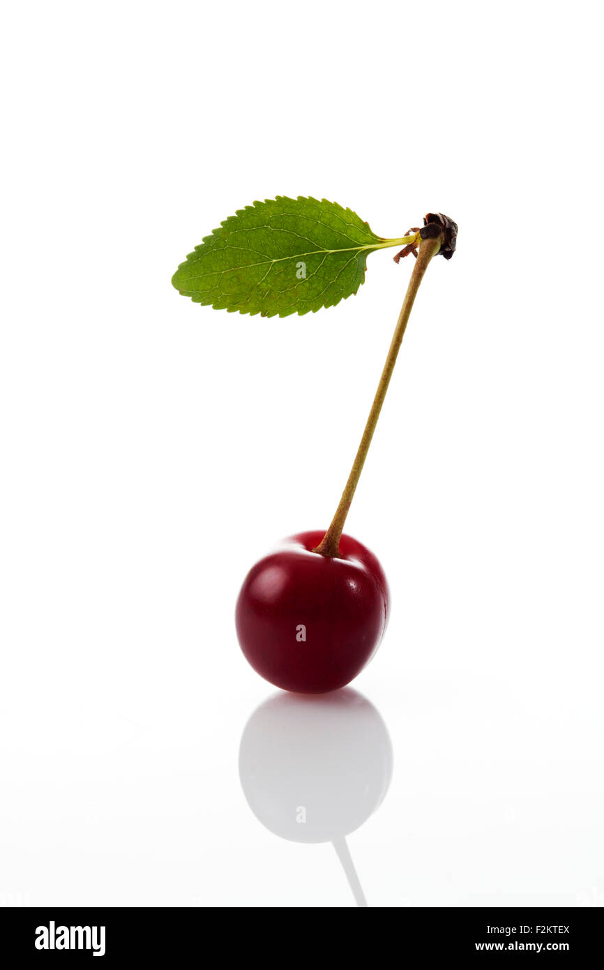 Sour cherry with leaf on white ground Stock Photo