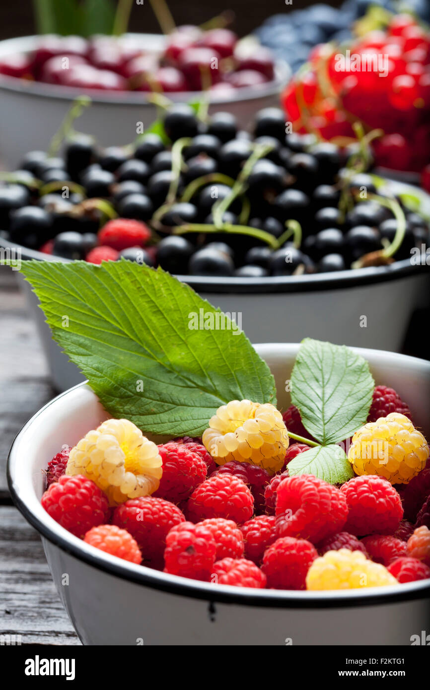 Red Andyellow Raspberry Bowl of red and yellow raspberries and bowls of other fruits in the ...