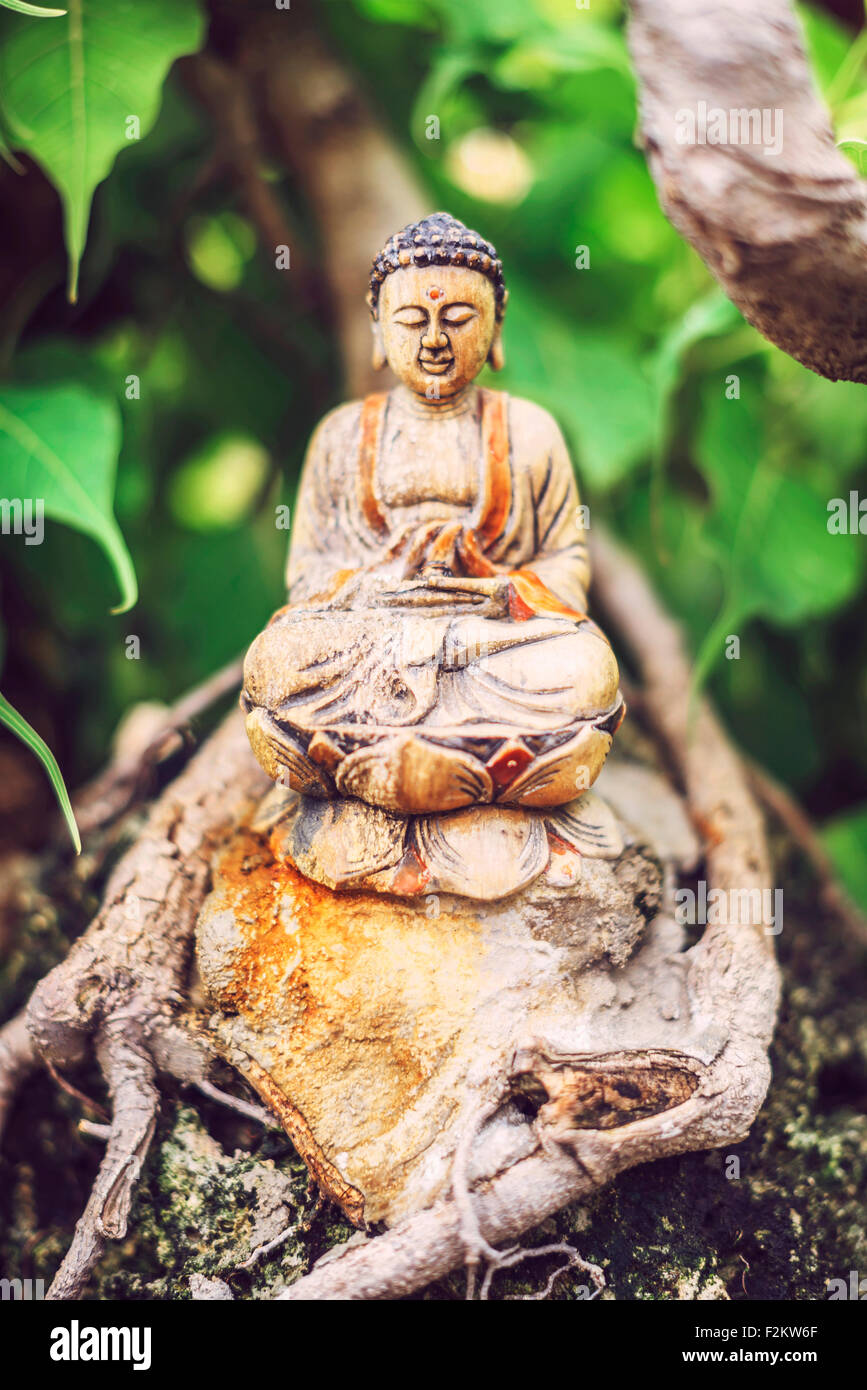 Bonsai buddha hi-res stock photography and images - Alamy