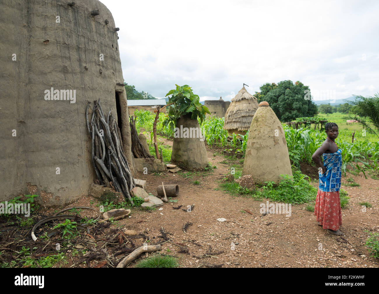 Togo, West Africa, Nadoba, traditional tata somba houses with thatched