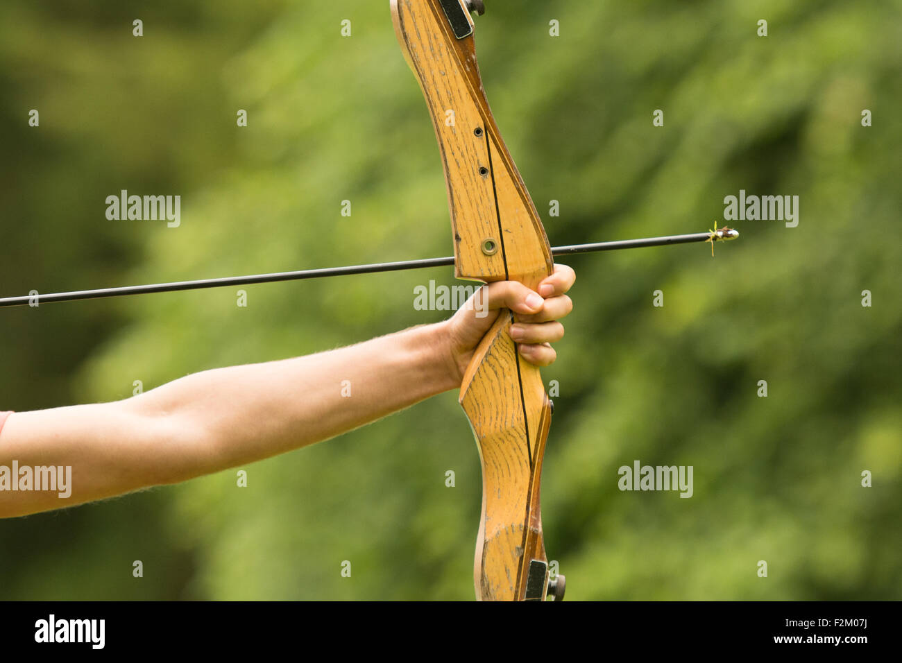 Arm holding Bow and Arrow ready to be loosed Stock Photo