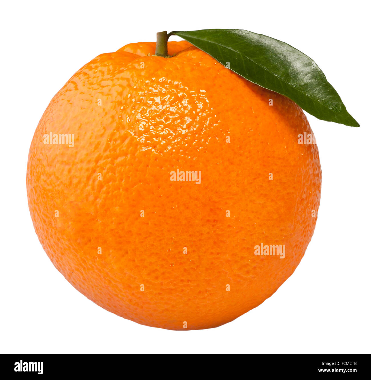 Orange(+clipping path) Stock Photo