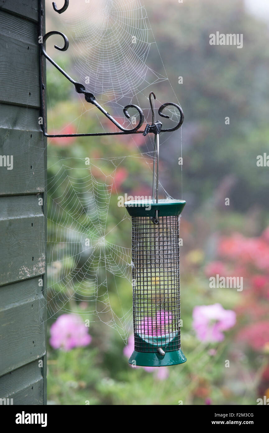 Dont forget to feed the birds in winter. Empty bird feeder with spiders webs in a garden Stock Photo