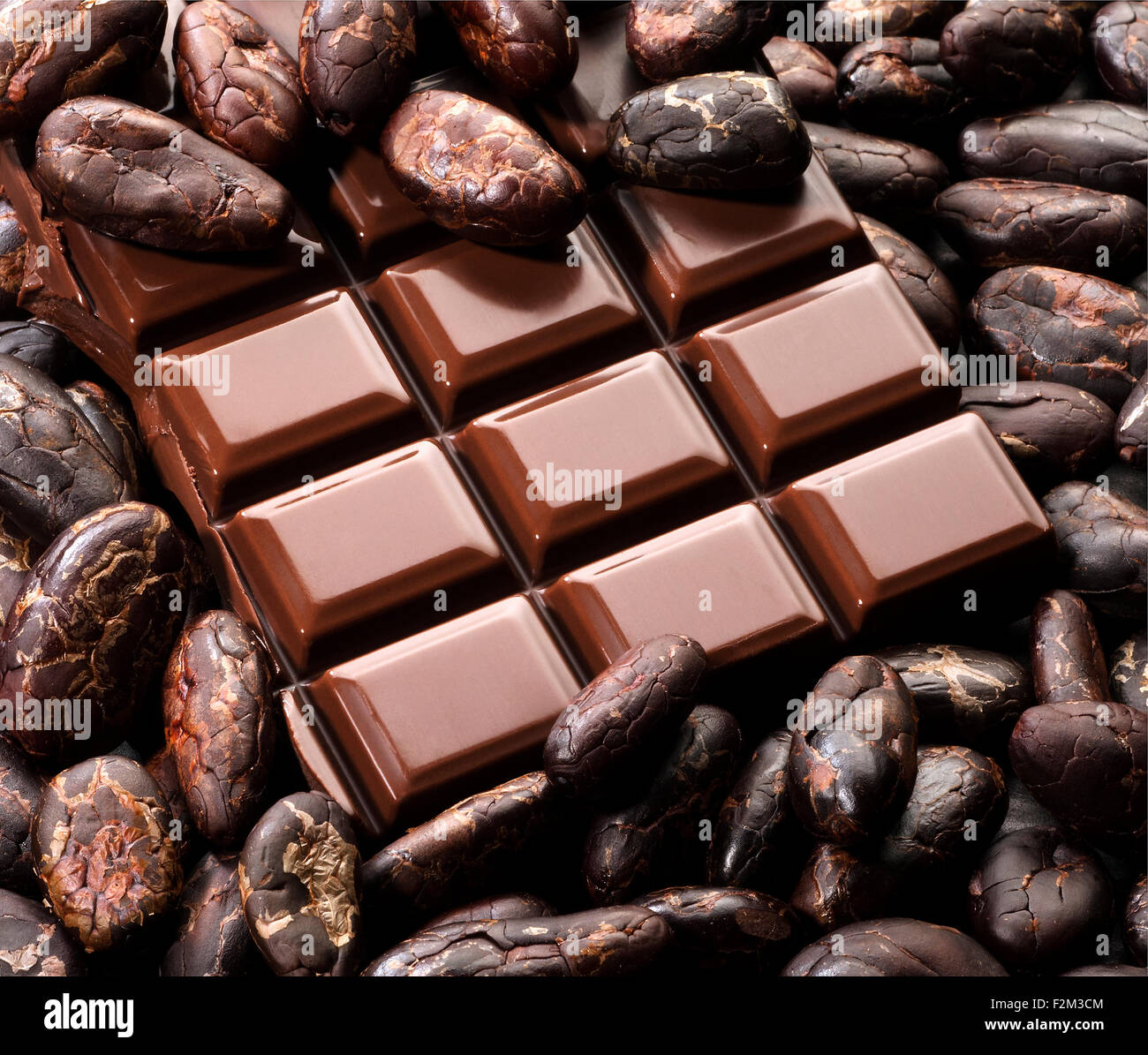 Cocoa beans and chocolate bar Stock Photo
