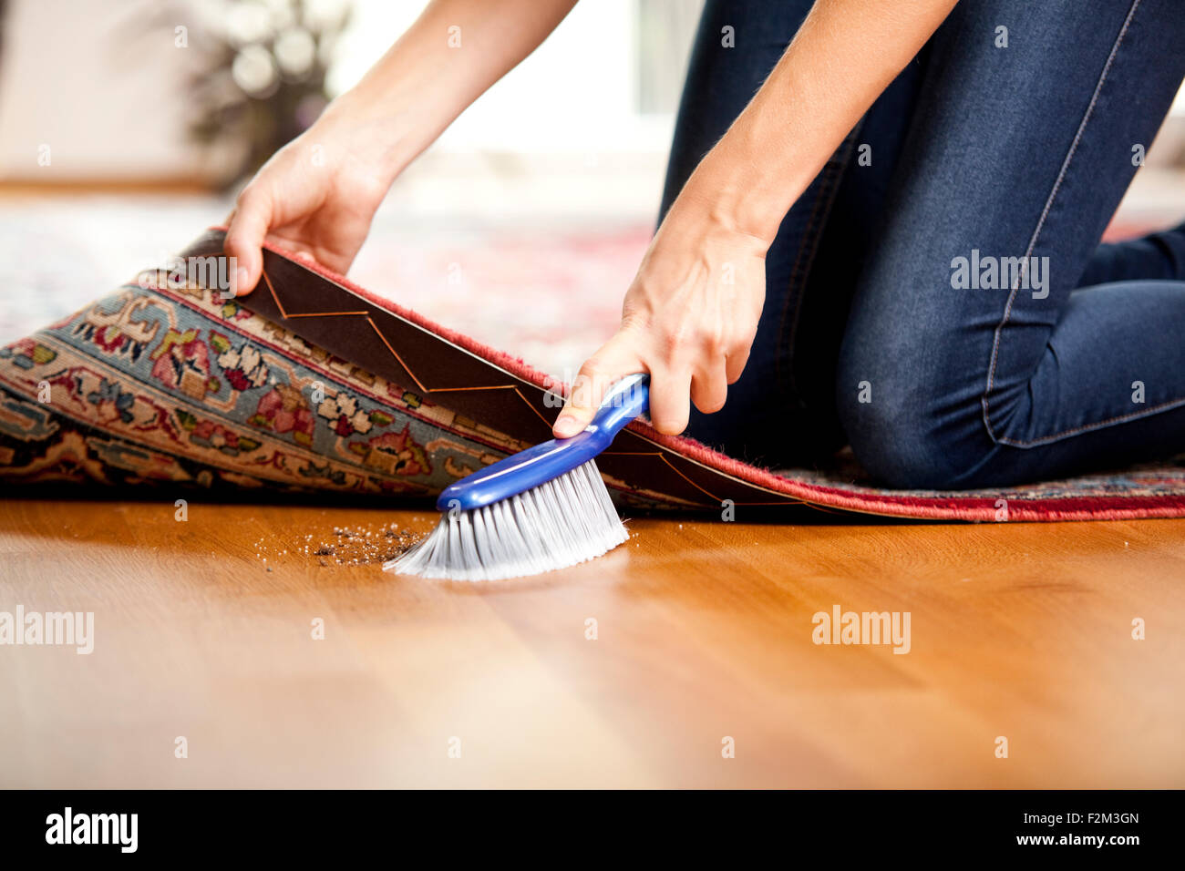 Brush it under the carpet hi-res stock photography and images - Alamy