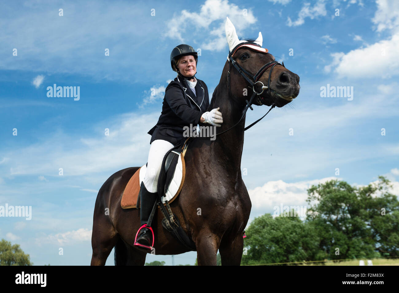 On Rider Rider on horse Stock Photo - Alamy