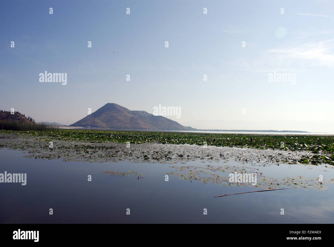 a mountain at the side of  lake Skadar is reflected in the waters of the largest lake in the Balkans Stock Photo