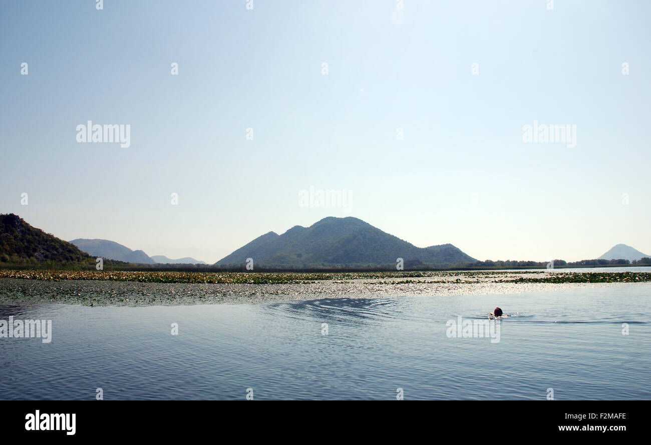 a tourist wild swimming in the water of Lake Skadar in Montenegro with mountains rising in the background Stock Photo