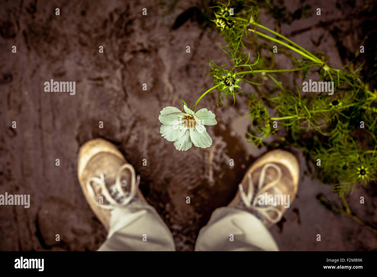 Feet in mud hi-res stock photography and images - Alamy
