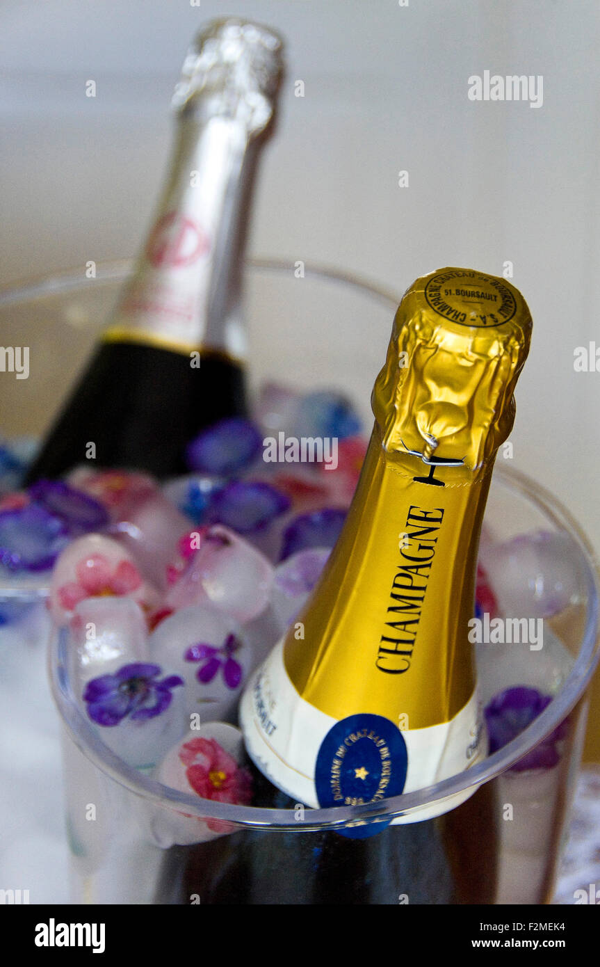 Vertical close up of decorative ice cubes in a champagne cooler at a party. Stock Photo