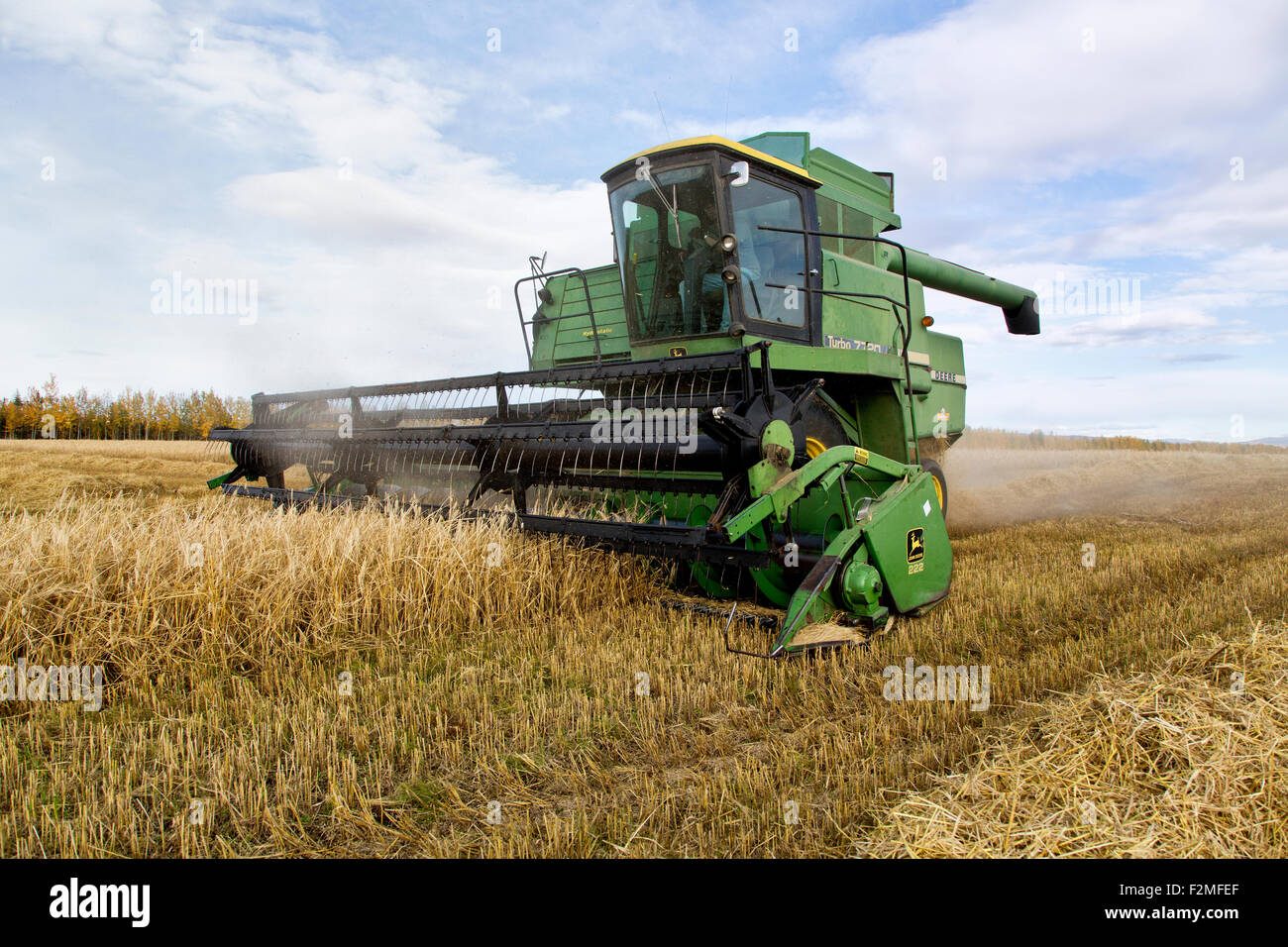 Barley harvest 'Arra' variety, farmer operating John Deere 7720 combine. Stock Photo