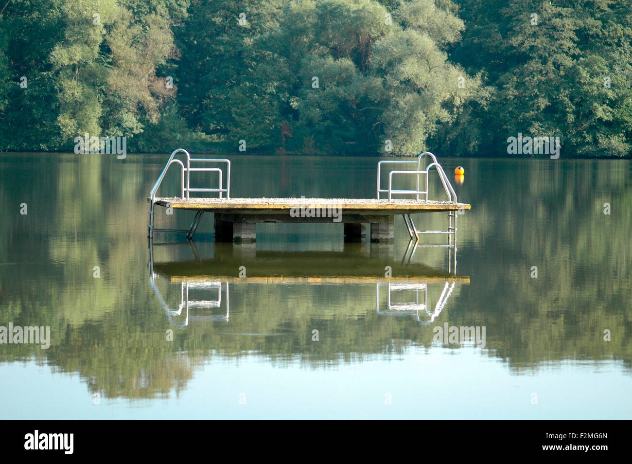 Spiegelung Volkspark Jungfernheide, BerlinTegel Stock Photo Alamy