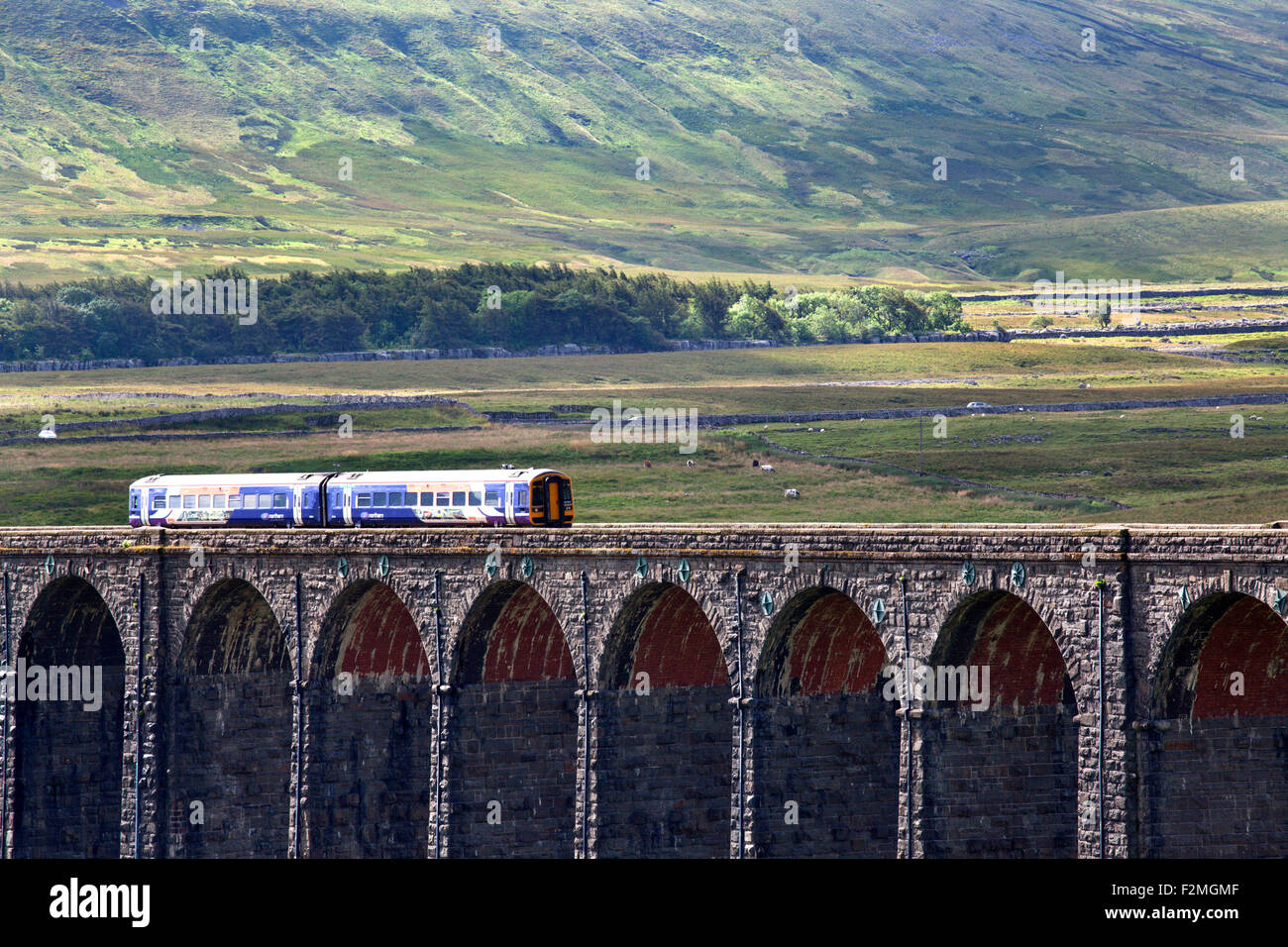 Northern Rail Train Crossing the Ribblehead Viaduct Yorkshire Dales North Yorkshire England Stock Photo