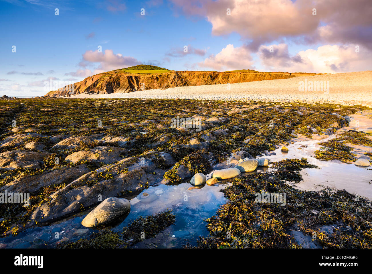 Cornborough Range and Cornborough Cliff on the North Devon Coast near Abbotsham, England. Stock Photo