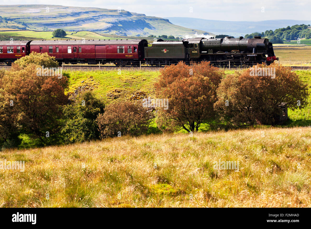 The Fellsman Hauled by 46115 Scots Guardsman and Autumn Colour near Ribblehead Yorkshire Dales North Yorkshire England Stock Photo