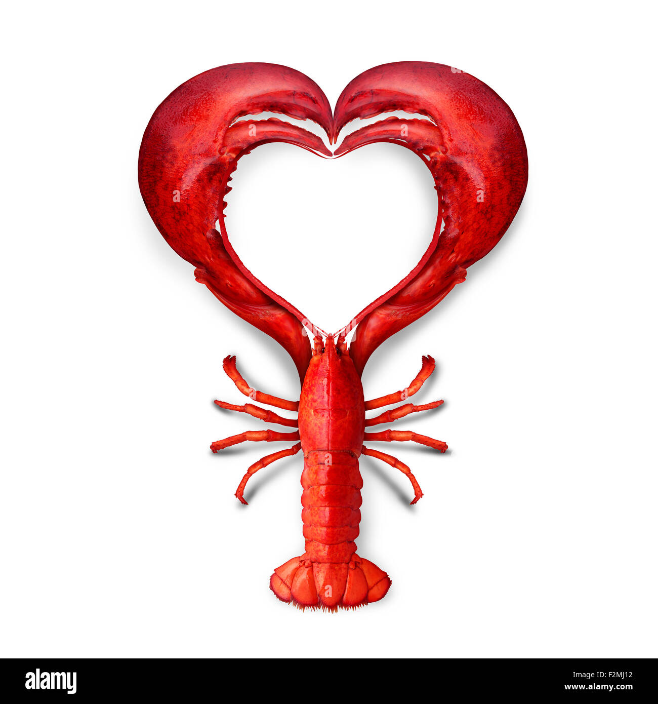 Seafood Love concept as a boiled lobster shaped as a heart symbol as a metaphor for fresh sea food from the ocean or promoting a fish dinner or marketing a restaurant menu. Stock Photo