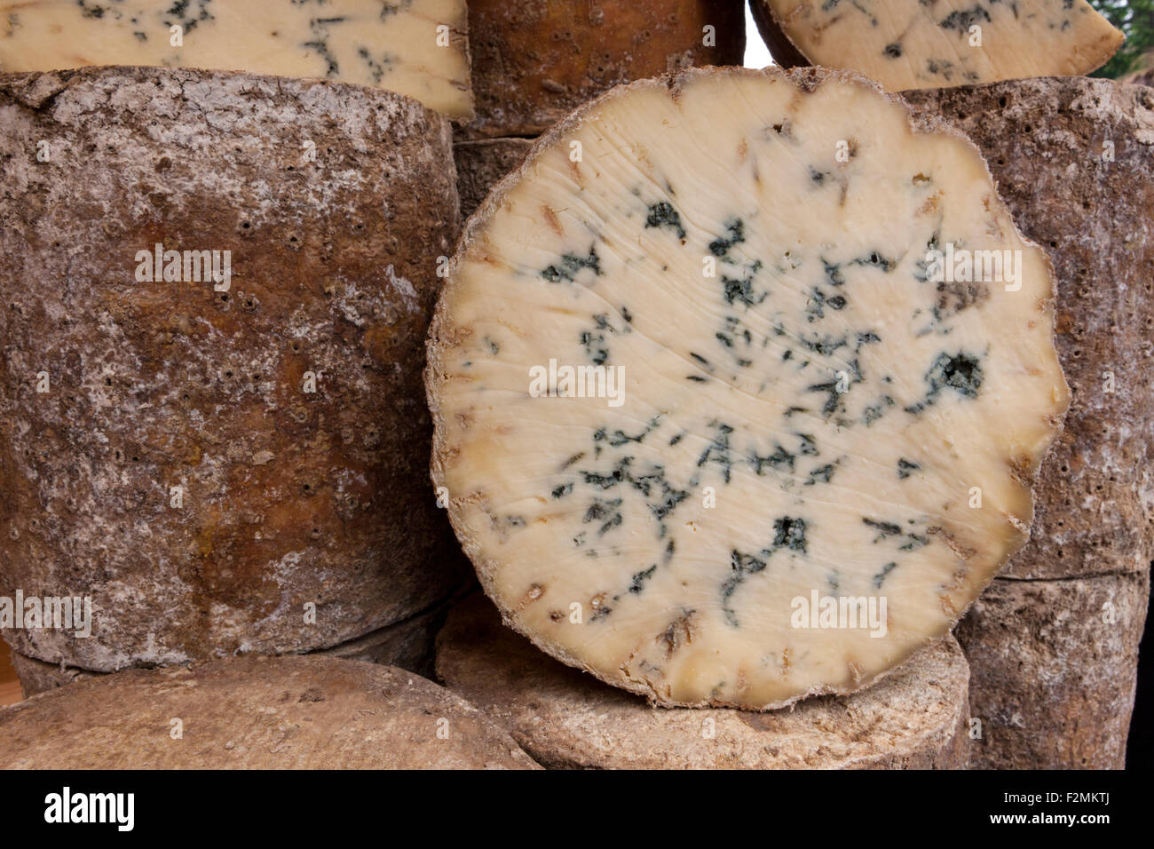 Cross section of round of Stichelton cheese, a veined, Stilton-like blue cheese on sale in Borough Market, South Bank London, UK Stock Photo