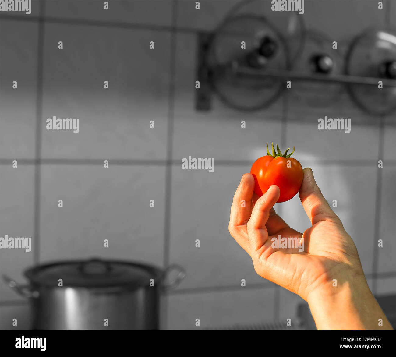 Fresh picked tomato in persons hand. Stock Photo