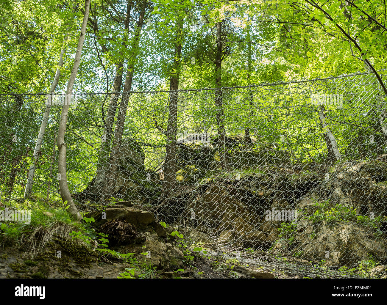 Safety rocks hi-res stock photography and images - Alamy