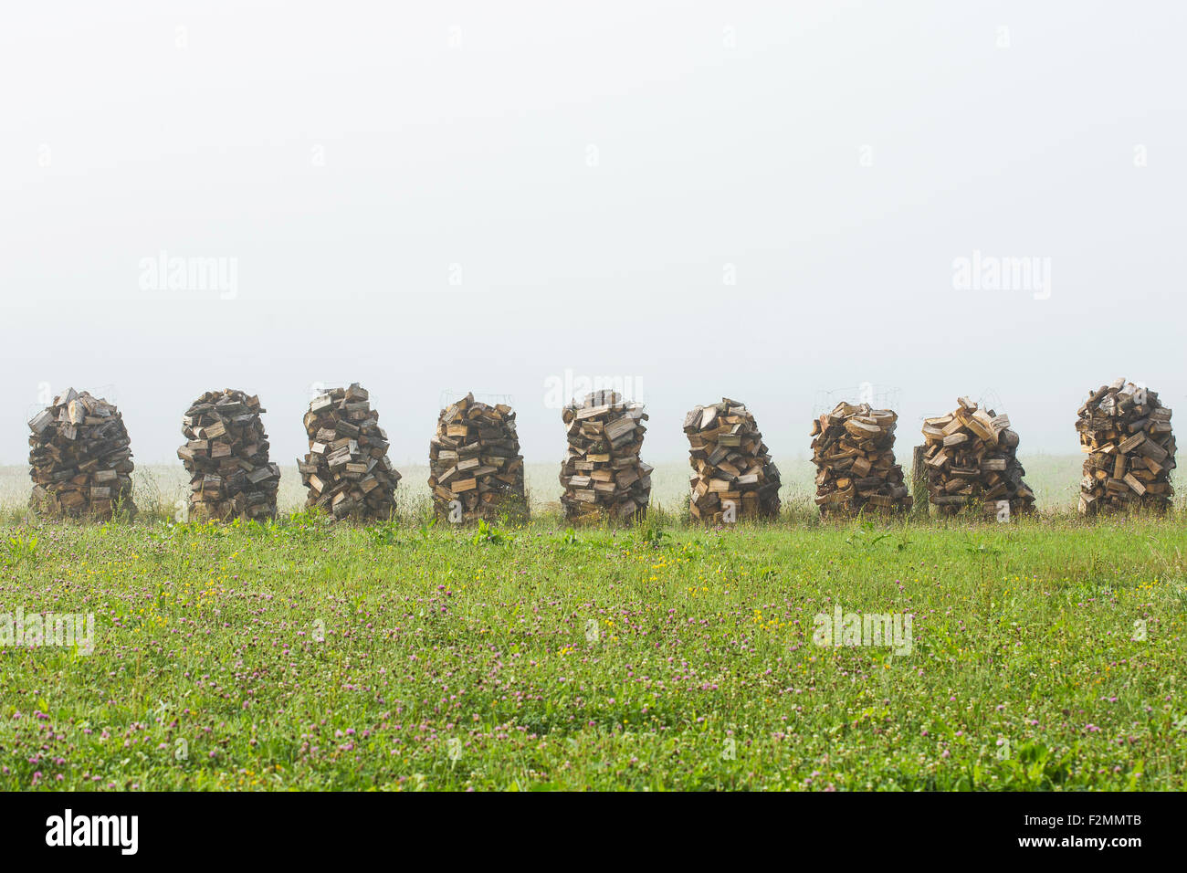 Wood drying on air for winter season in mist Stock Photo Alamy