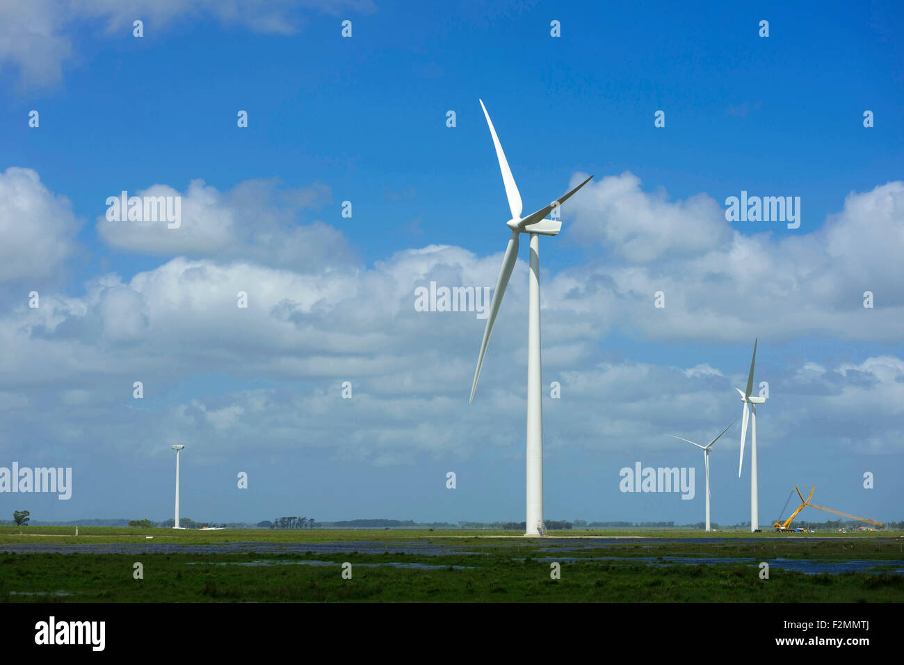 Green energy farm multiple wind mills on green field and blue sky background. Includes clipping path, so you can easily cut it Stock Photo