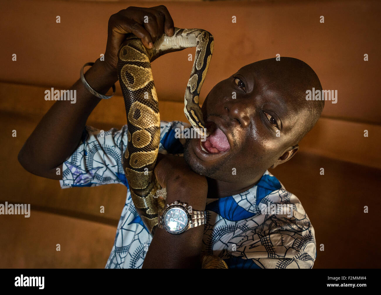 Benin, West Africa, Ouidah, man putting a snake in his mouth inside the ...
