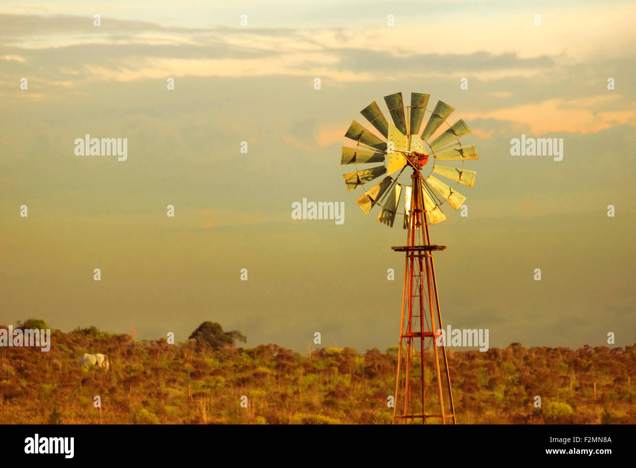 Countryside landscape with vintage wind mill over sunset sky and farm field in background. Stock Photo