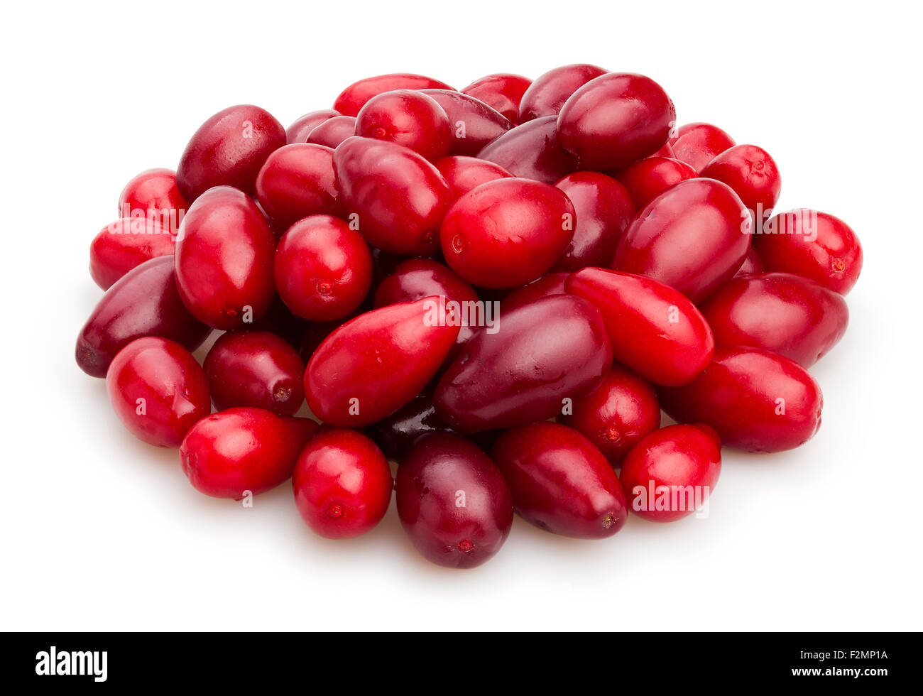 Cornel hi-res stock photography and images - Alamy