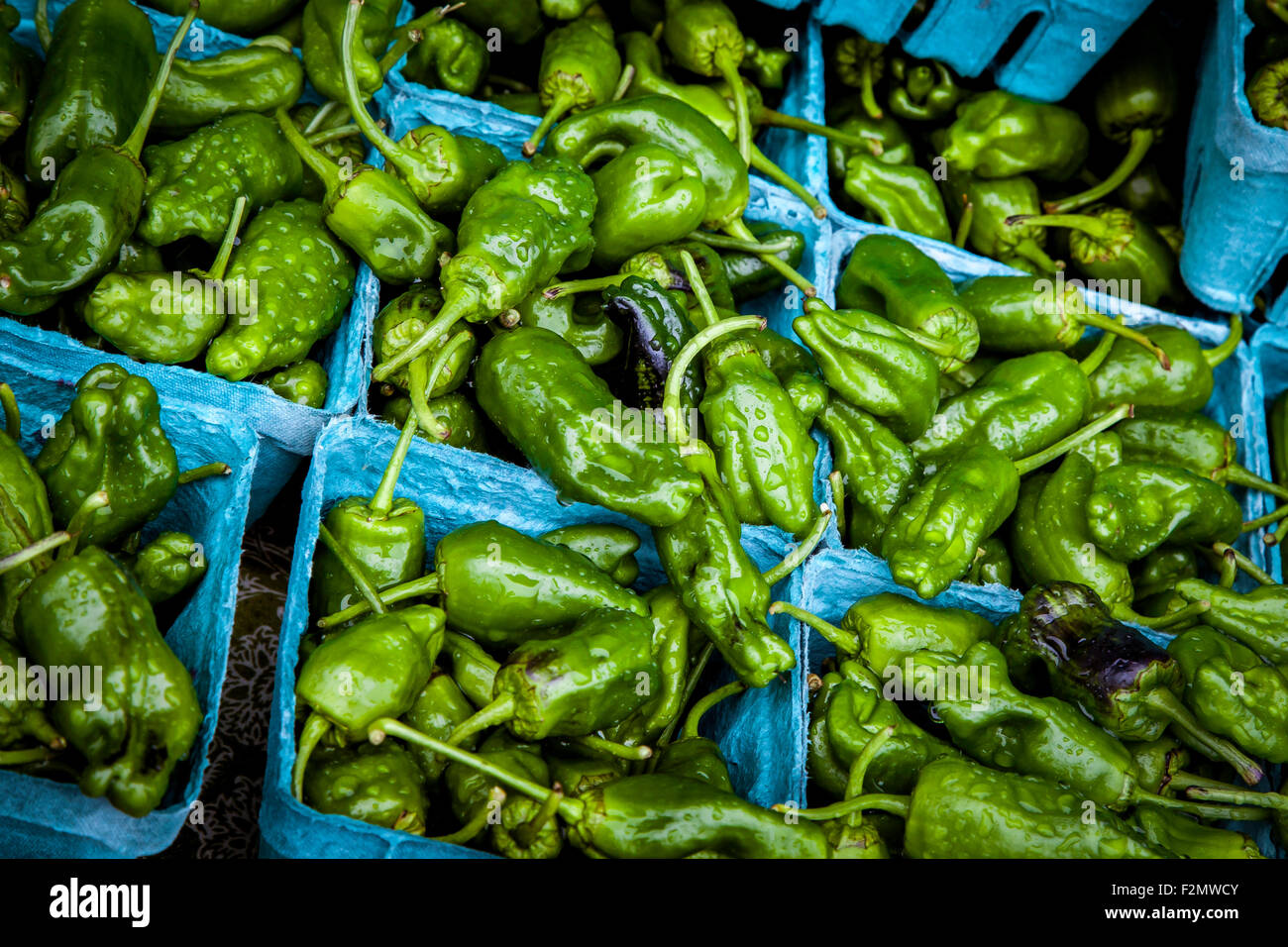 raw poblano peppers in basket farmers market Stock Photo - Alamy