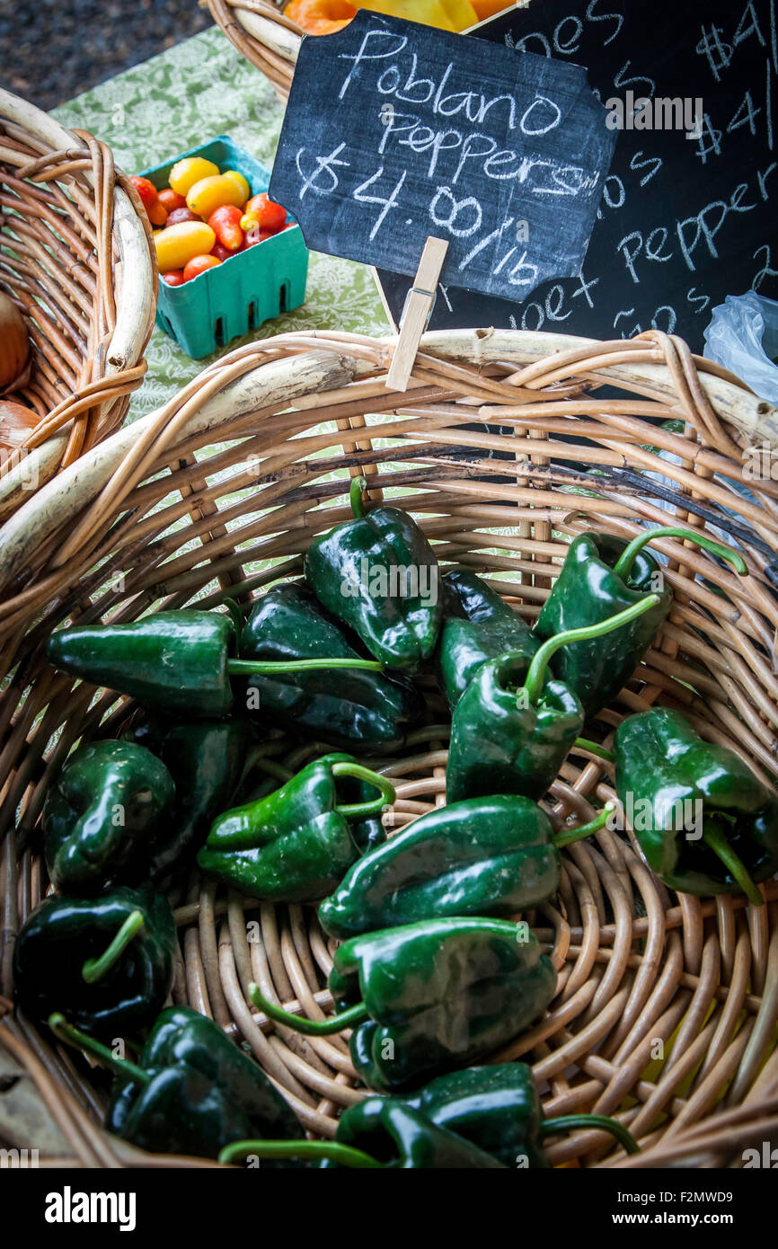 Poblano Peppers Market Portland Oregon Stock Photo