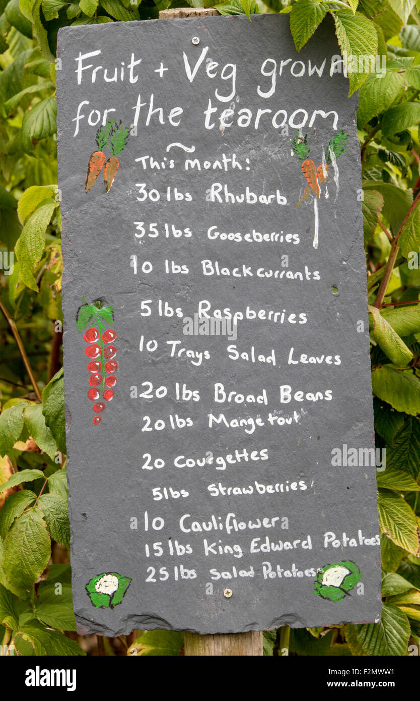 A notice displaying the amount of produce grown on an allotment, England, UK Stock Photo