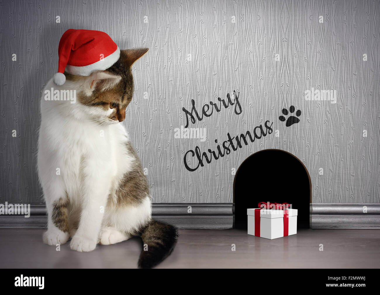 Xmas congratulate concept, cat with santa hat and gift Stock Photo