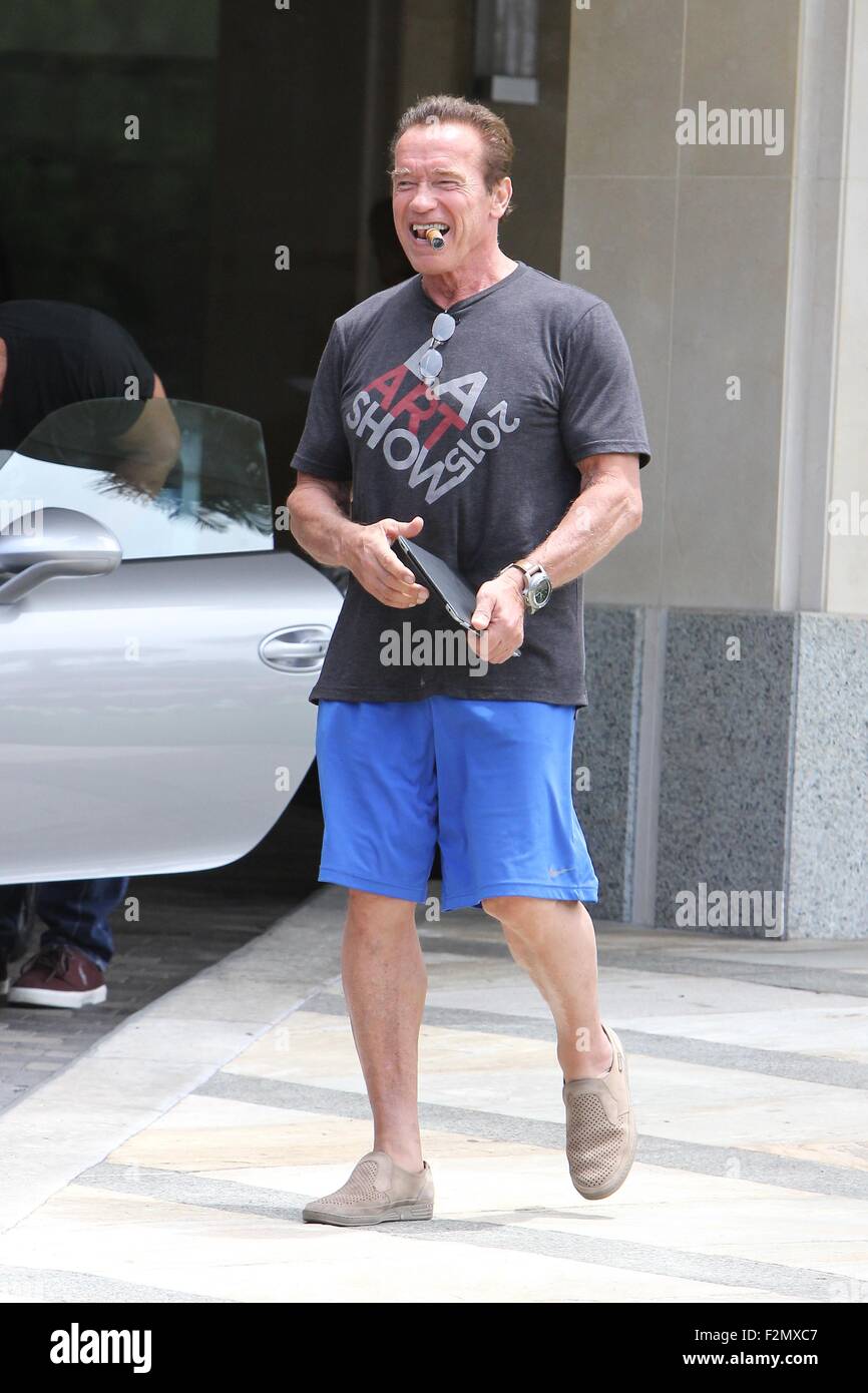 arnold schwarzenegger cigarette Arnold Schwarzenegger out shopping in brentwood, smoking a cigar Featuring: Arnold  Schwarzenegger Where: Los Angeles, California, United States When: 21 Jul  2015 Stock Photo