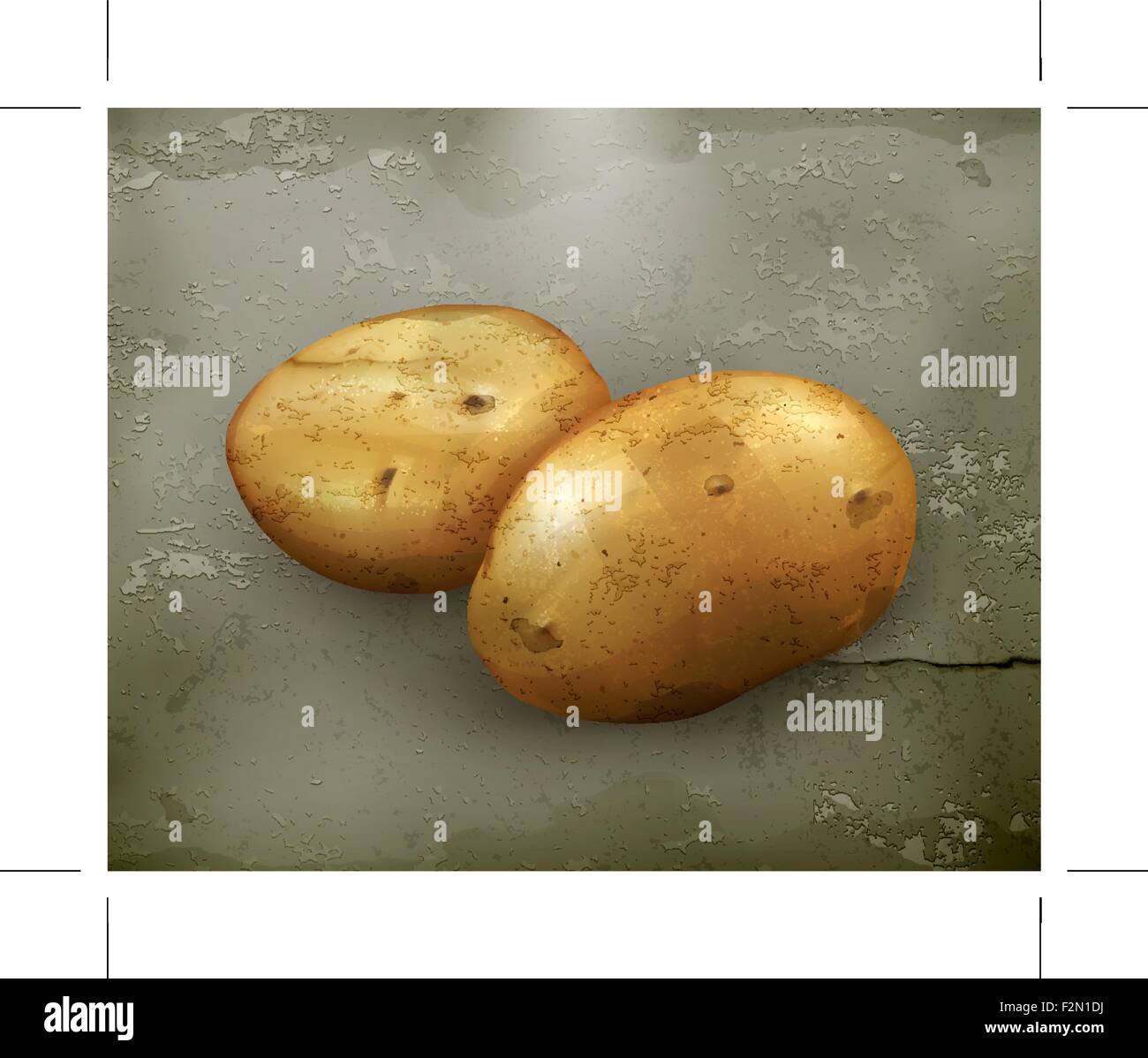 Potatoes, old-style vector Stock Vector Image & Art - Alamy