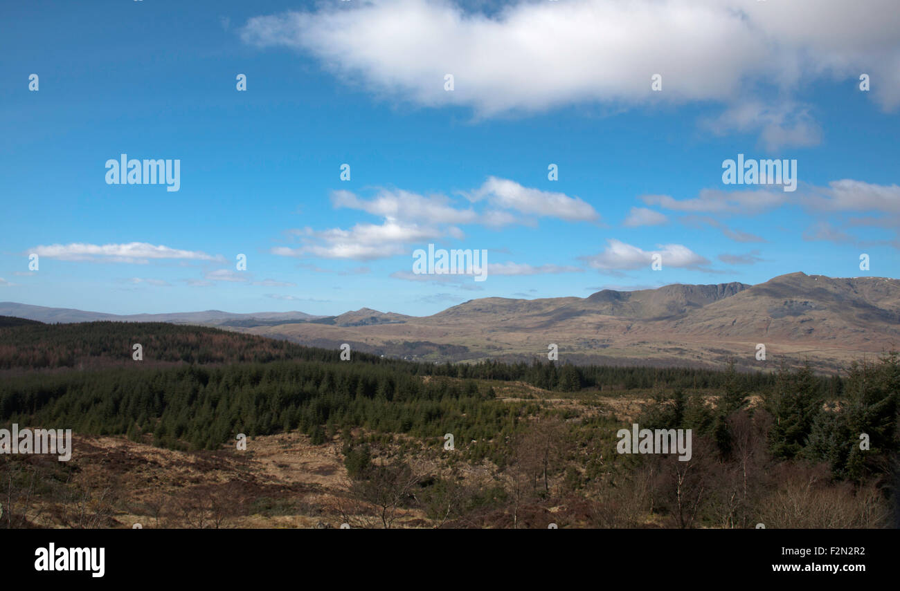 Torver High Common and White Maiden and The Dunnerdale Fells from Carron Crag Grizedale Forest Lake District Cumbria England Stock Photo