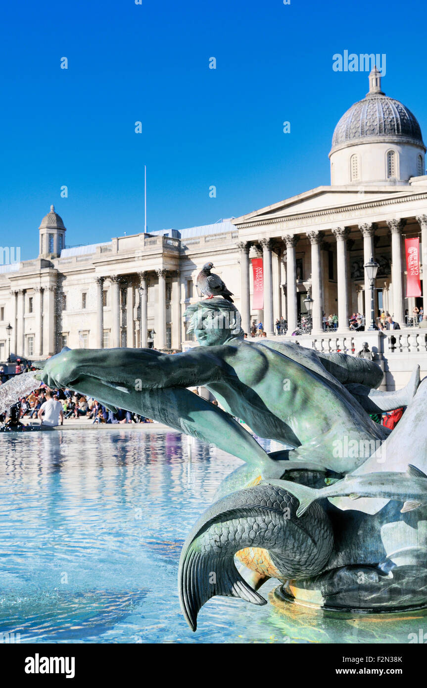 Pigeon sitting on the head of a statue in Trafalgar Square, London, England, UK Stock Photo