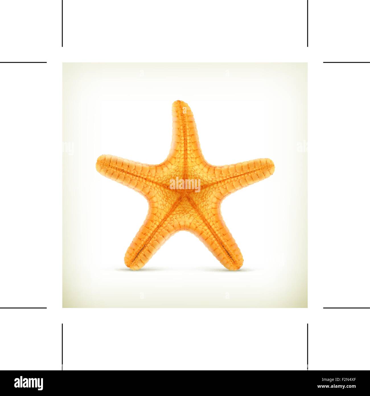 Starfish, realistic vector icons Stock Vector