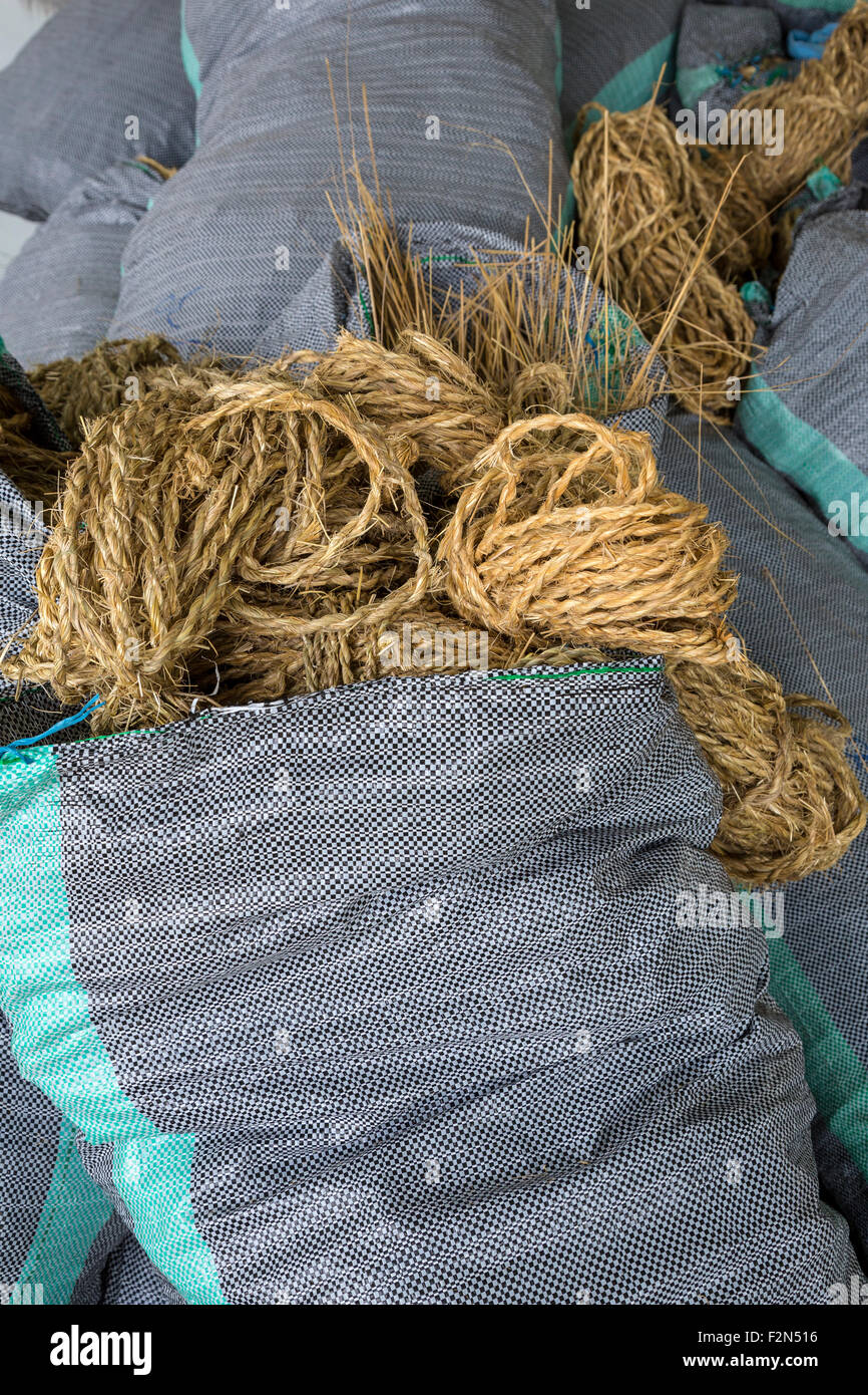 Rope to be used in making  the Q'eswachaka Bridge, a Traditional Quechua Andean Construction. Stock Photo
