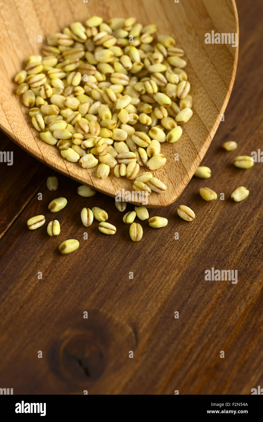 Trigo Mote boiled and husked wheat grain, commonly used in the South American cuisine Stock Photo