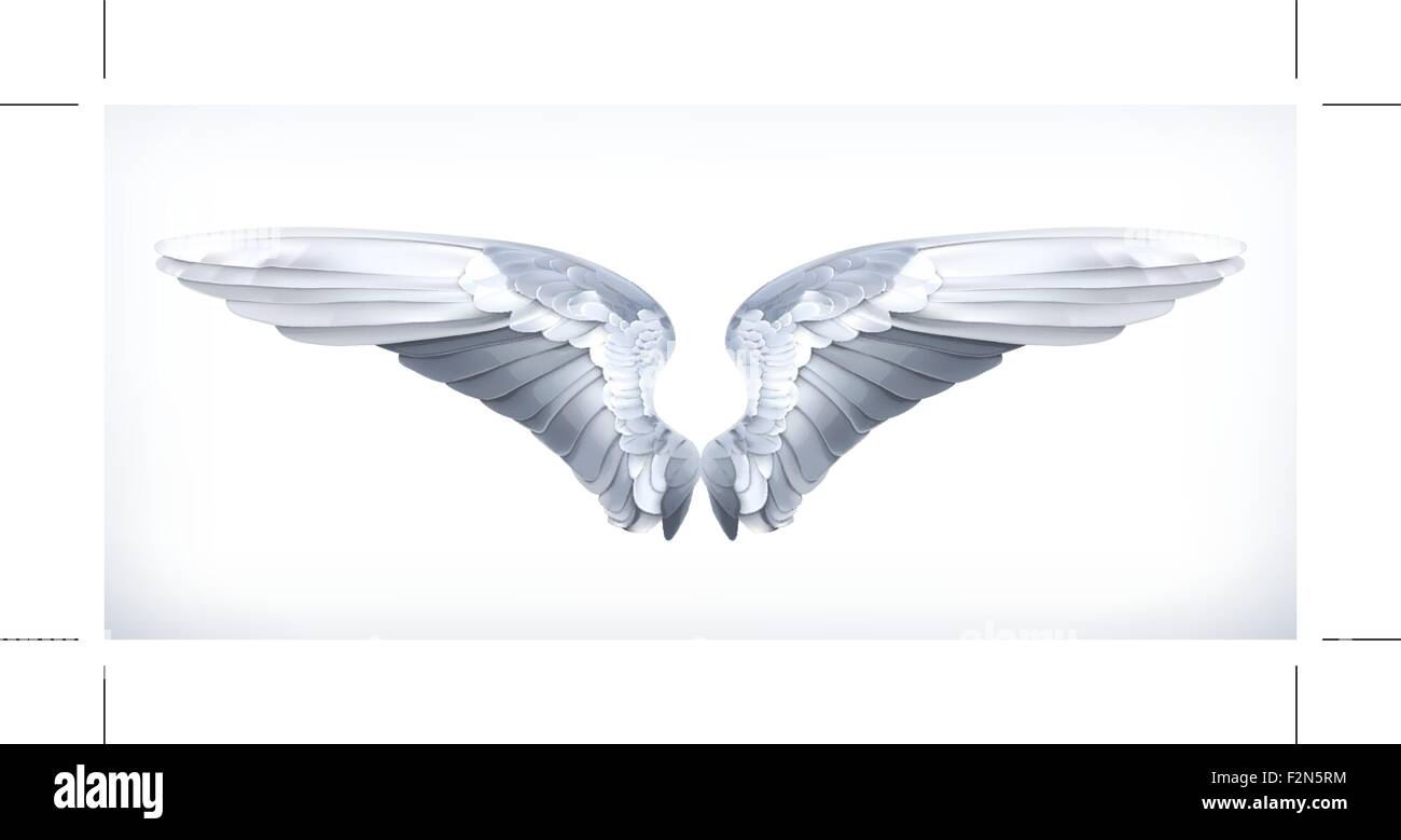 Wings, vector illustration Stock Vector Image & Art - Alamy