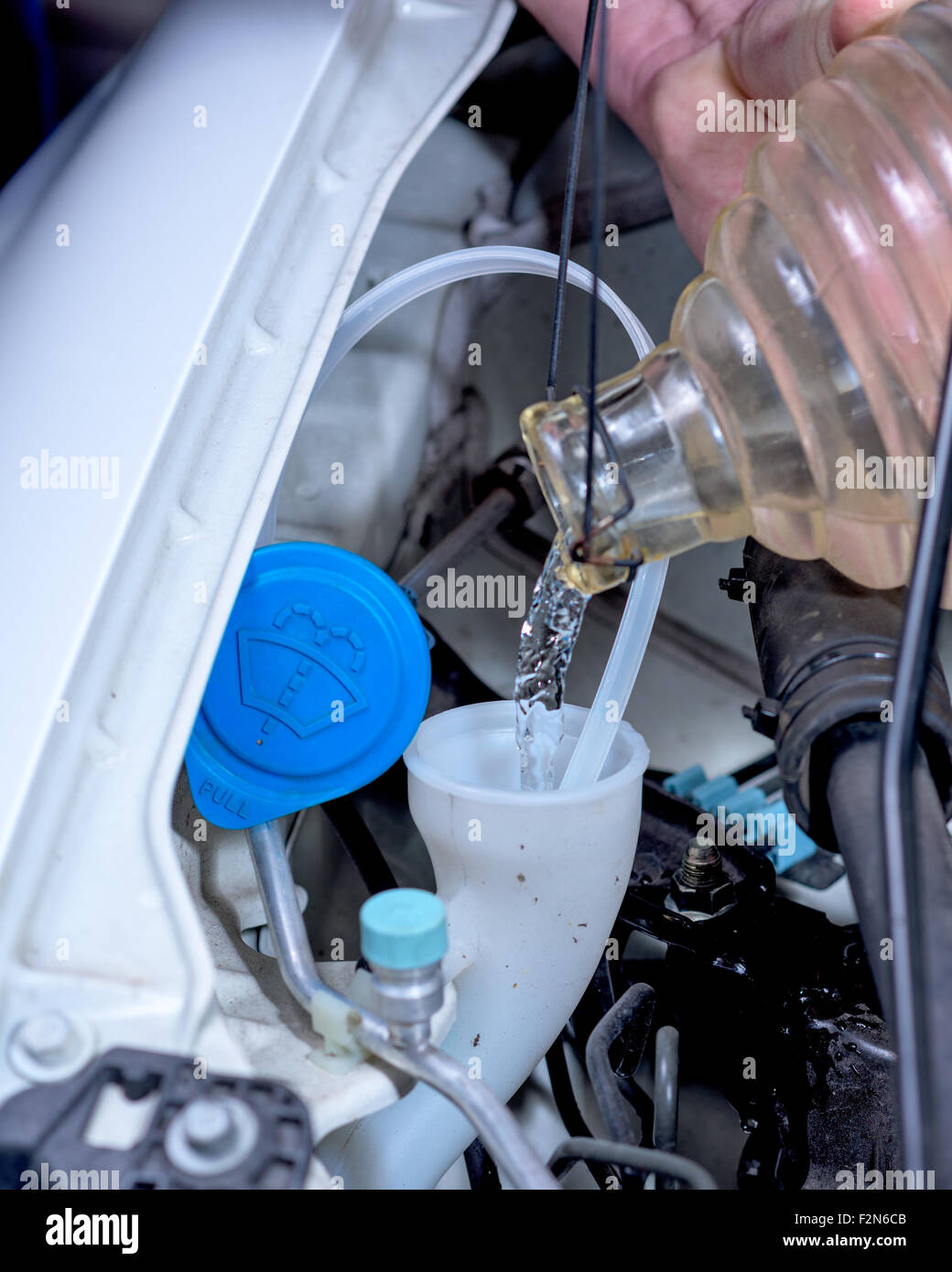 Topping off water to windshield fluid Stock Photo Alamy