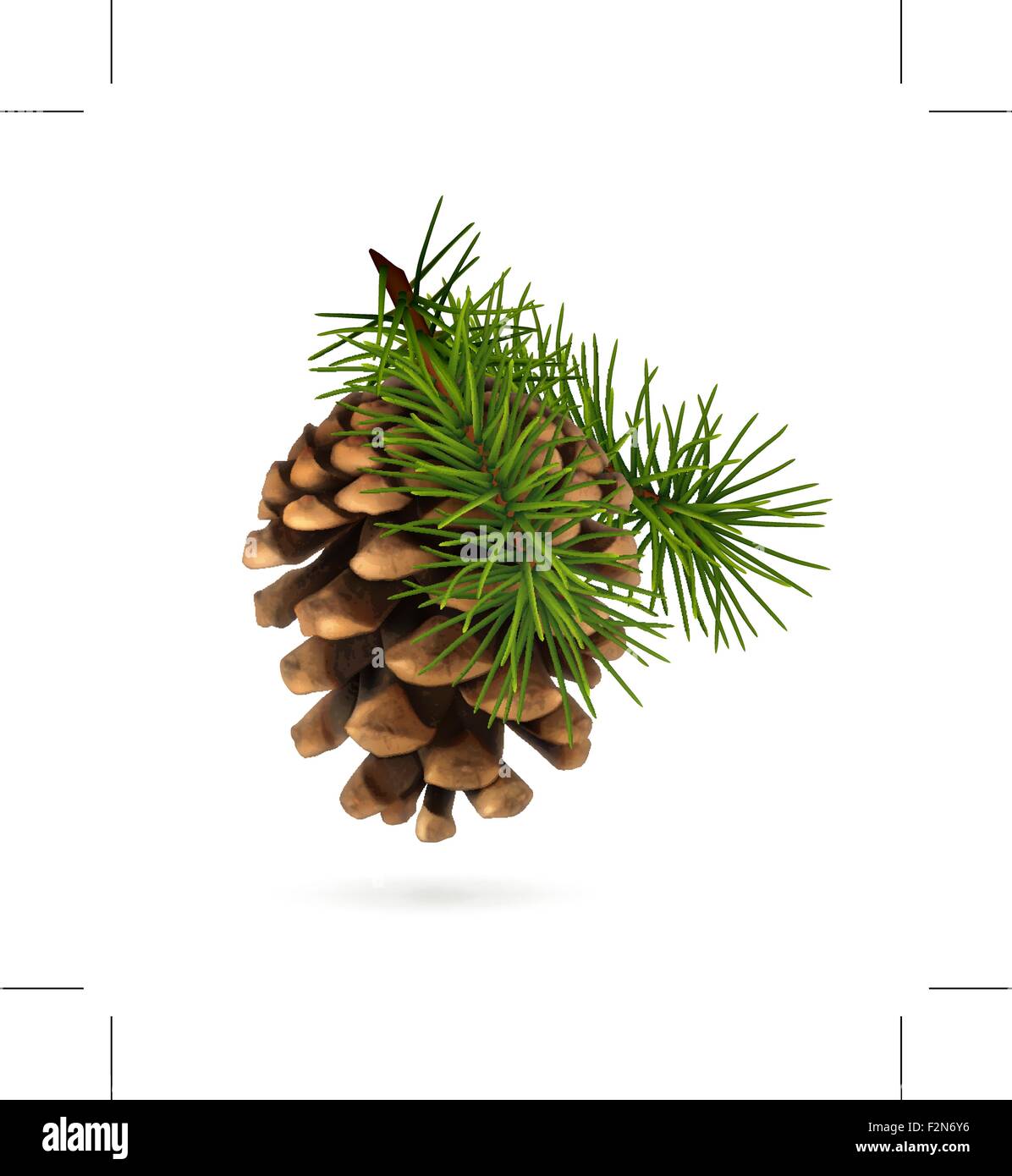 Pine cone with branch Stock Vector Image & Art - Alamy
