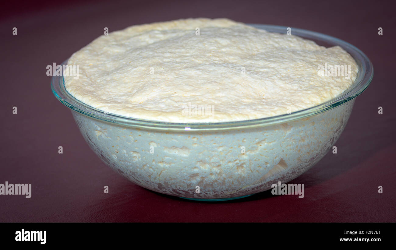 Fresh bread dough rising in a bowl Stock Photo