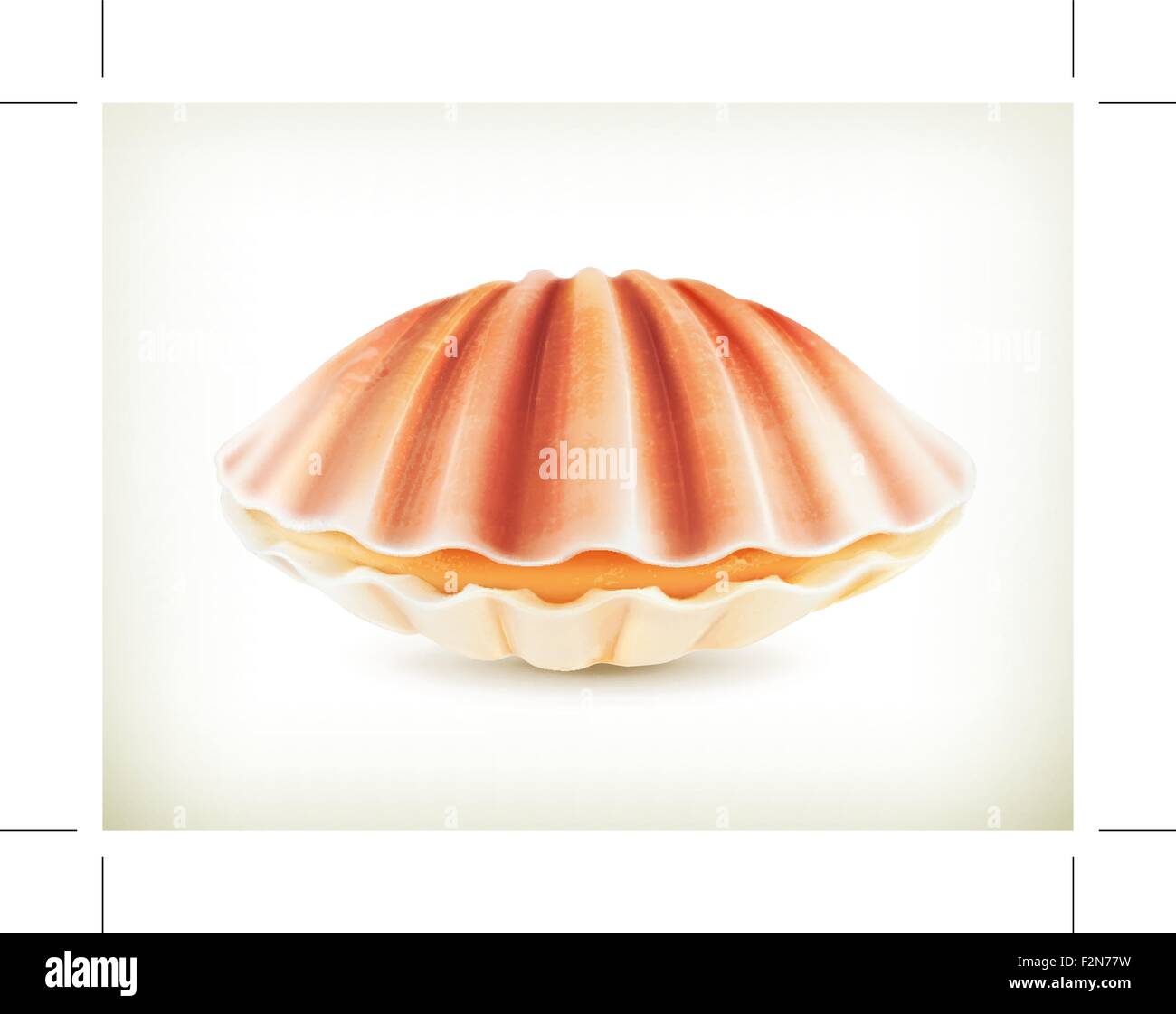 Clam shell vector hi-res stock photography and images - Page 7 - Alamy